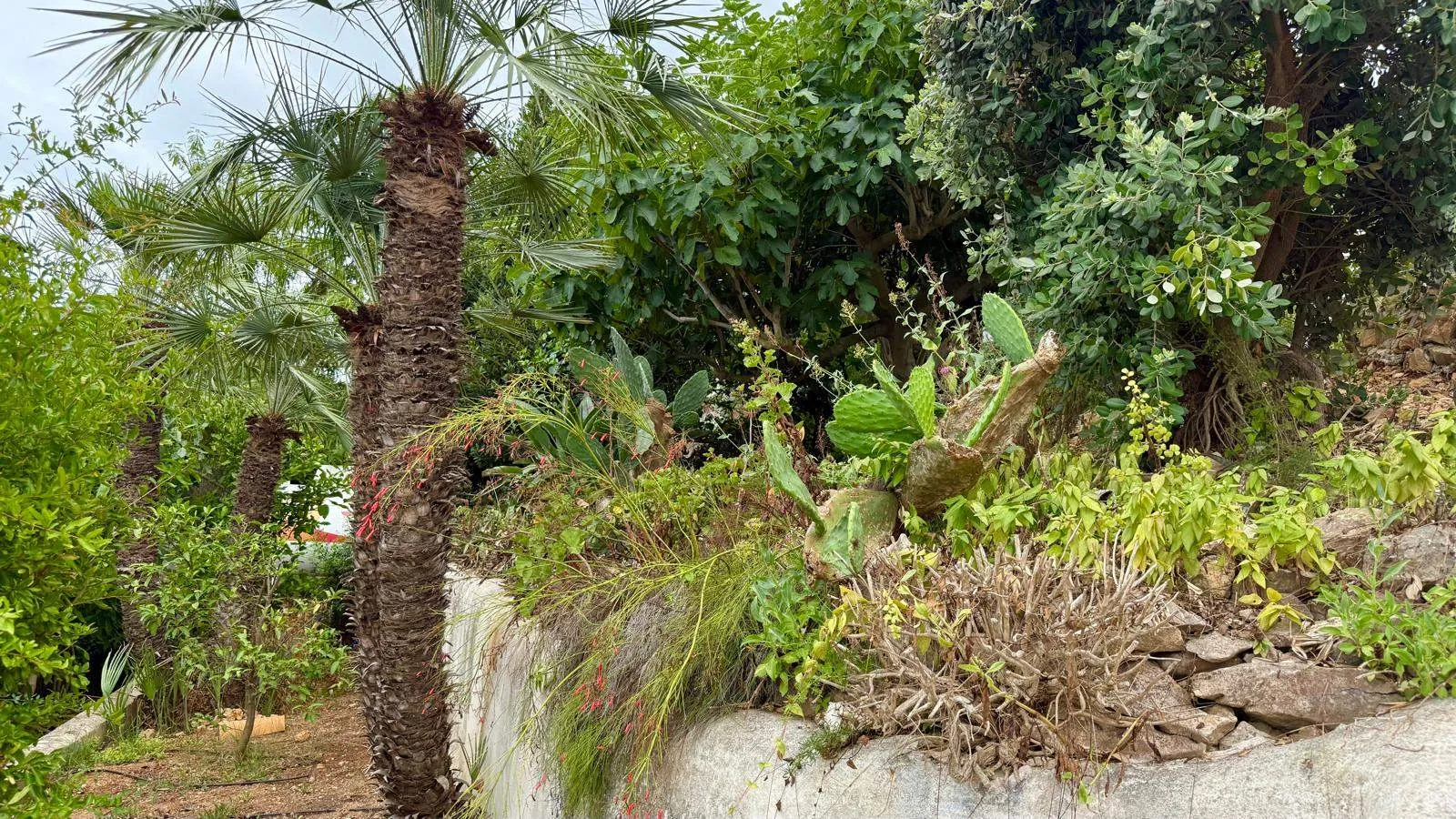 Charmante villa in Ibicenca-stijl met panoramisch zeezicht in Jávea