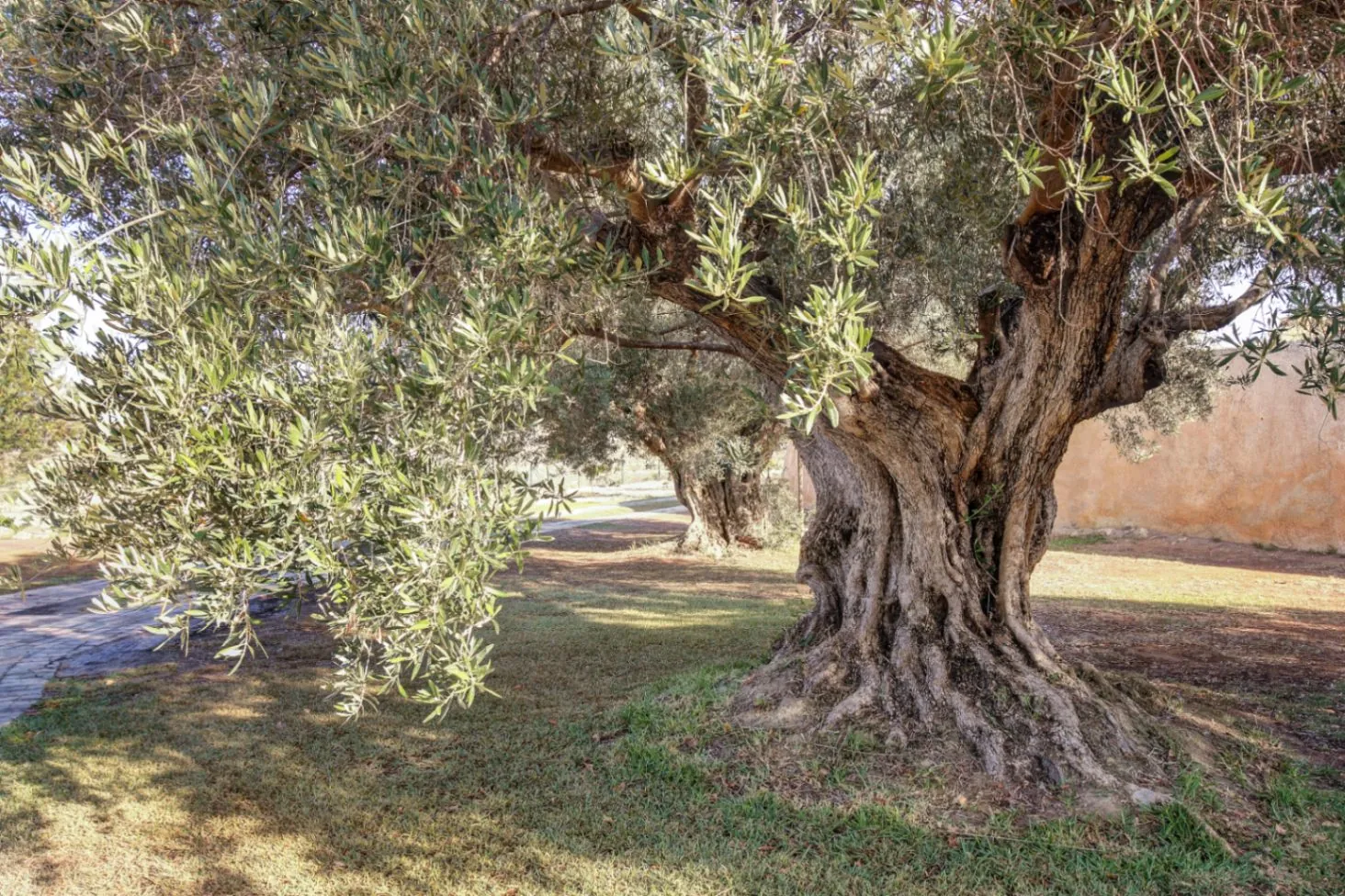 Finca te verkoop in Moraira