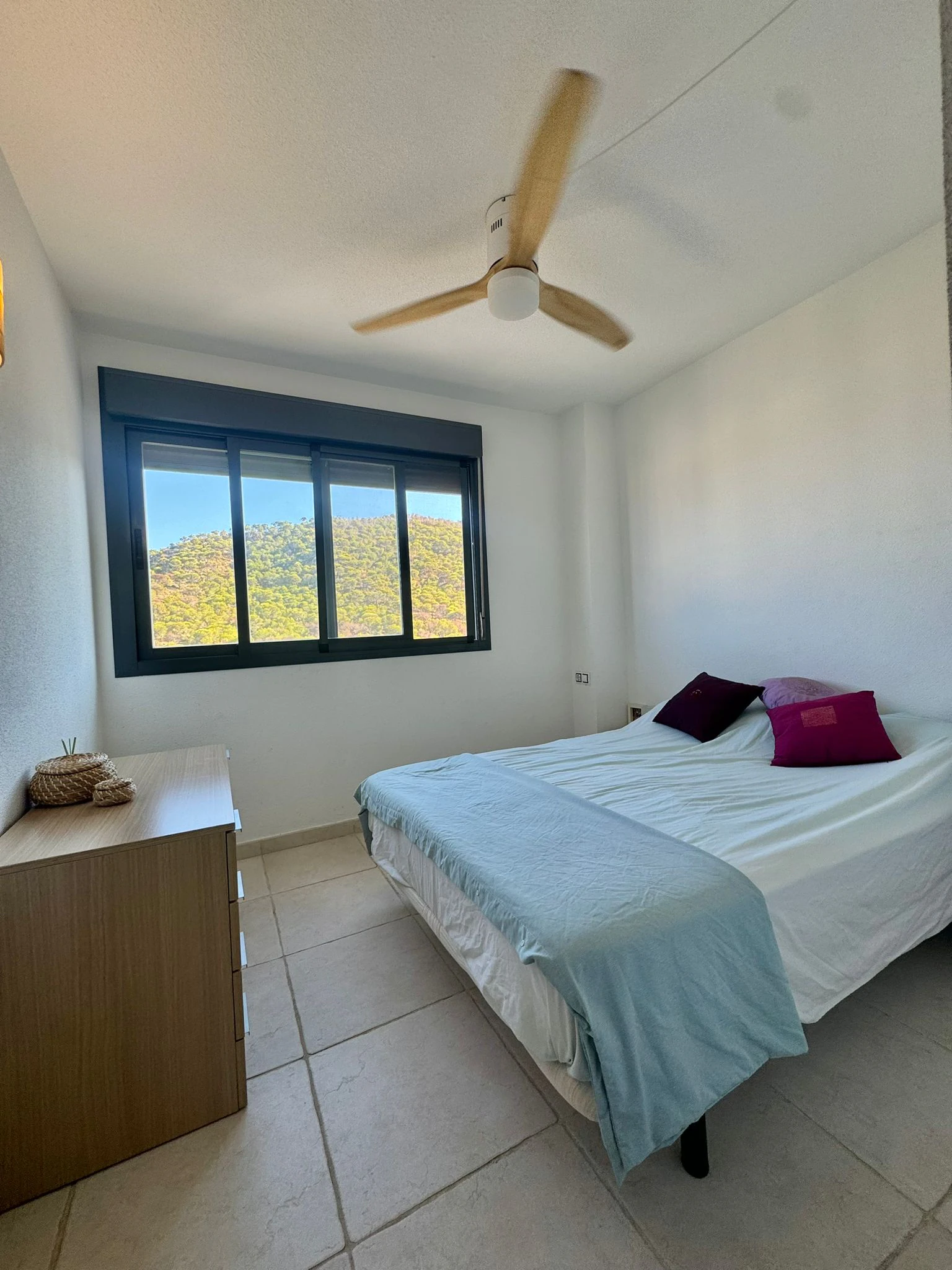 Appartement met uitzicht op zee Cala Villajoyosa urb Tamarindo 2 slaapkamers