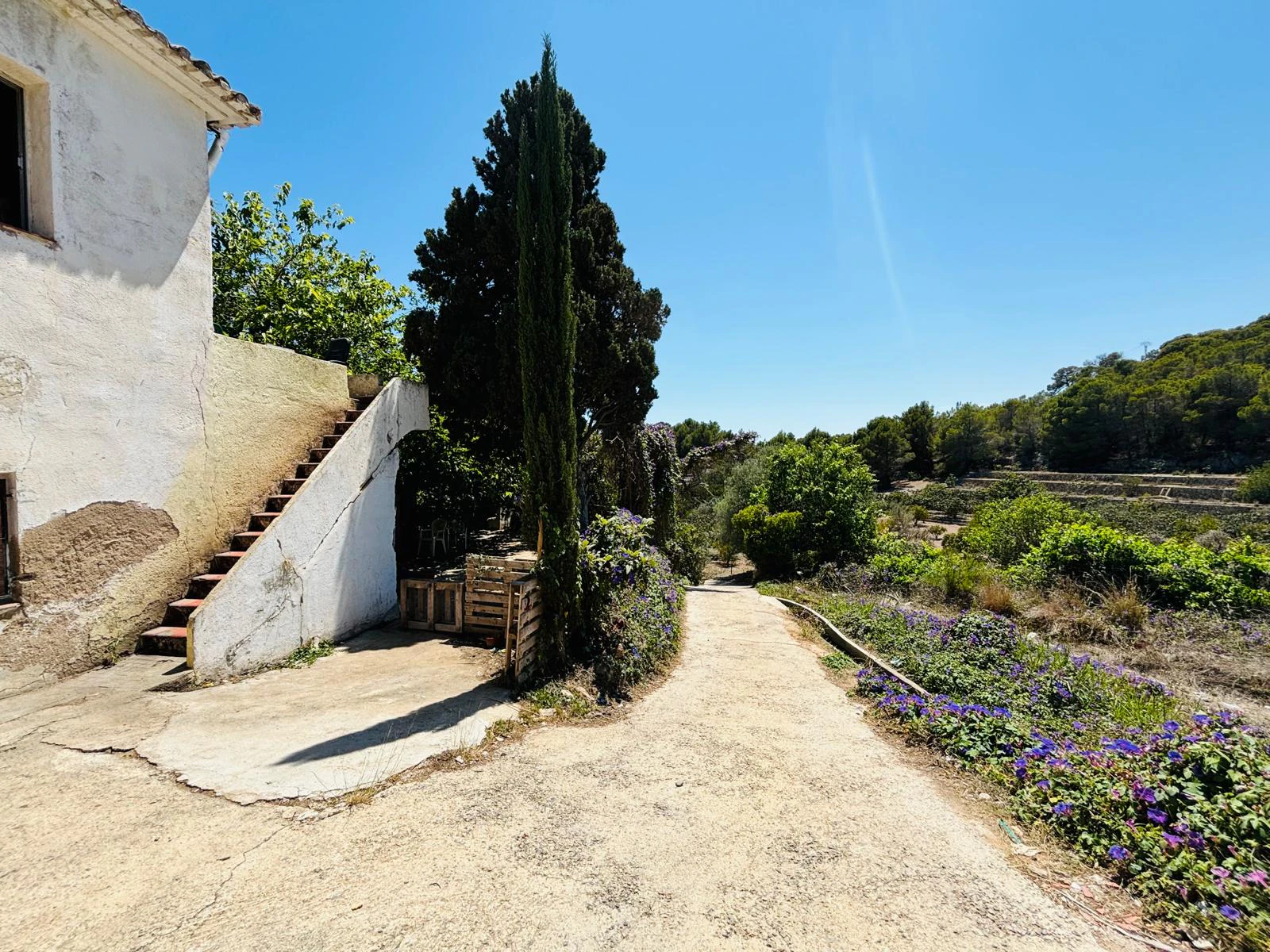 Finca rústica para reformar totalmente en Altea La Vella