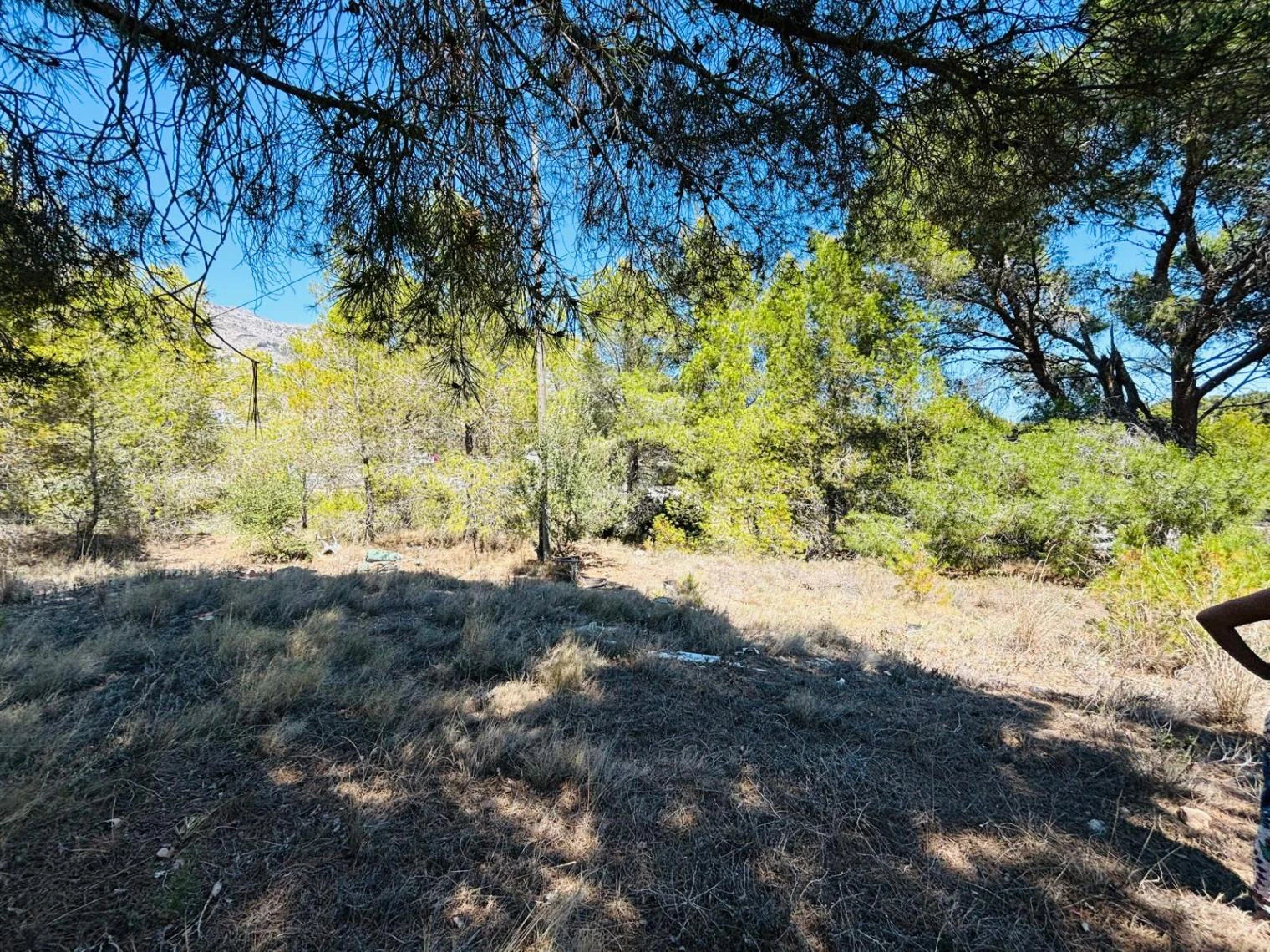 Finca rústica para reformar totalmente en Altea La Vella