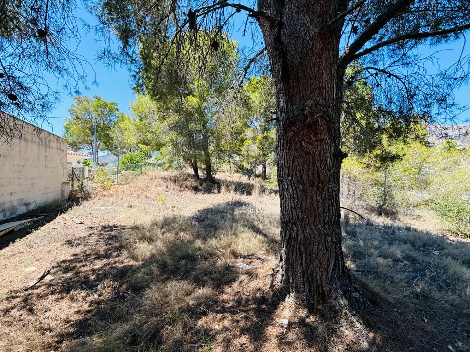 Finca rústica para reformar totalmente en Altea La Vella