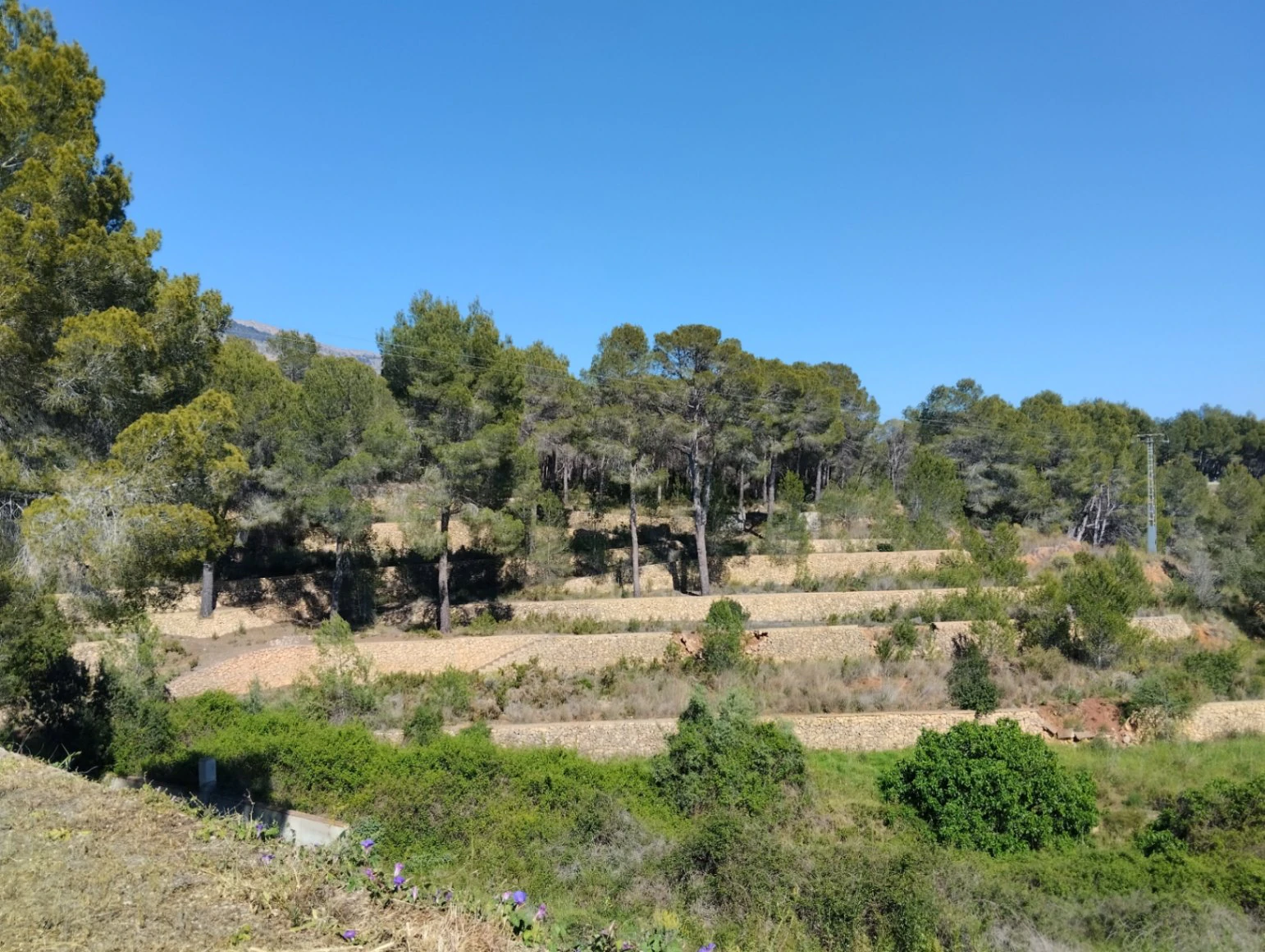 Villa te verkoop in Altea