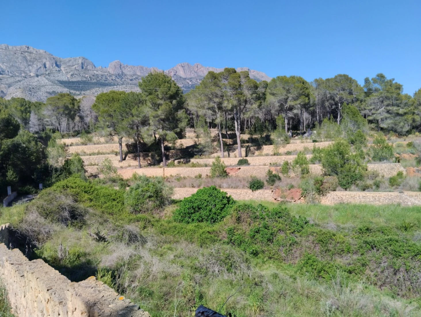 Villa te verkoop in Altea