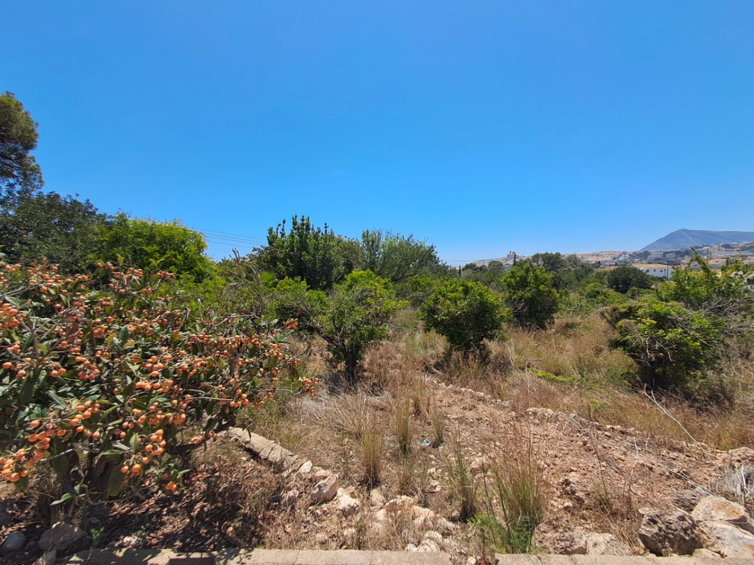 Bouwgrond te verkoop in Altea