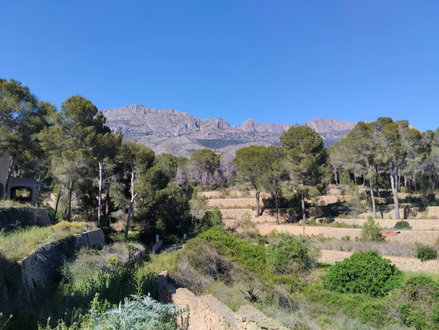 Villa te verkoop in Altea
