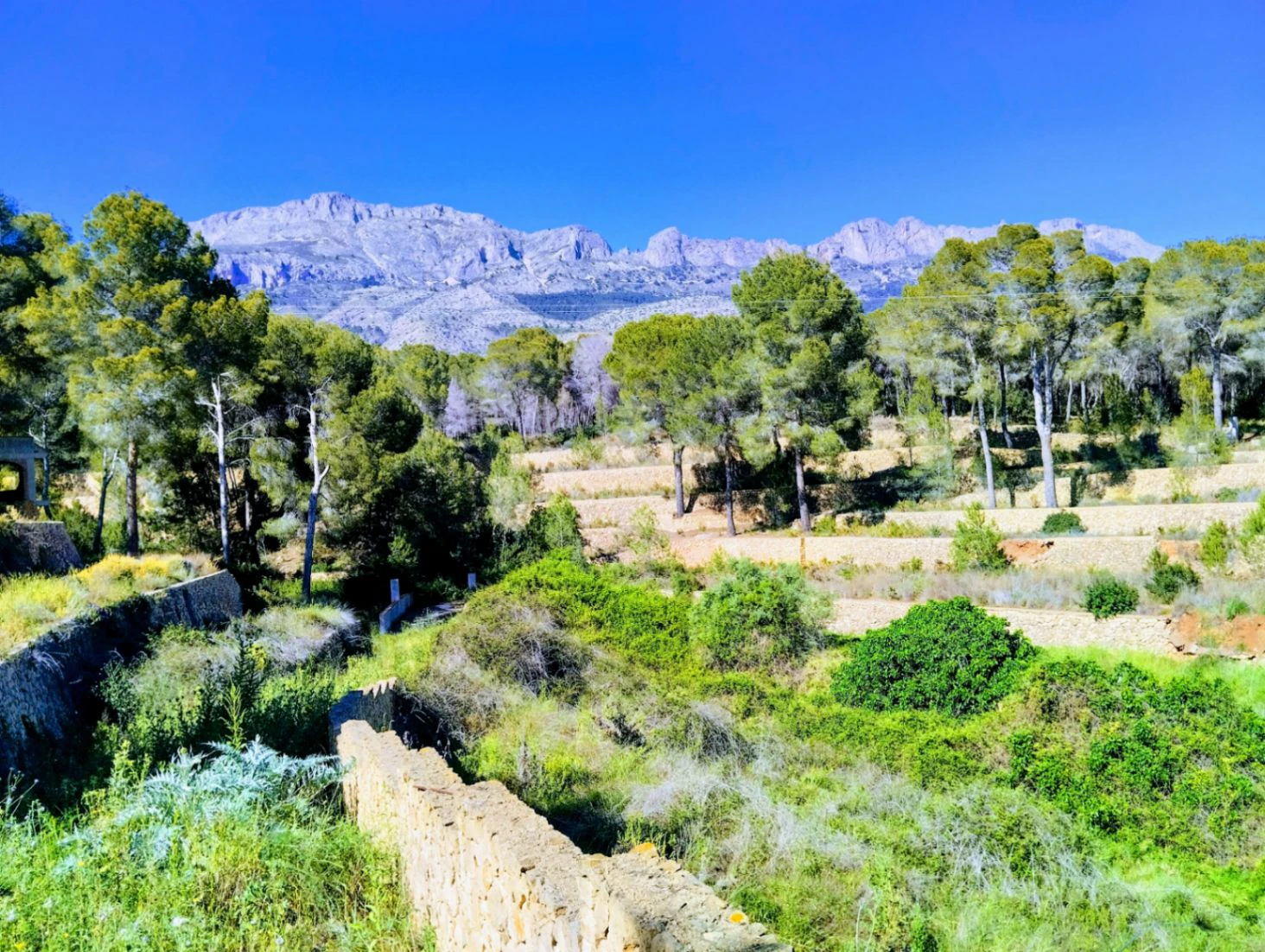 Villa te verkoop in Altea