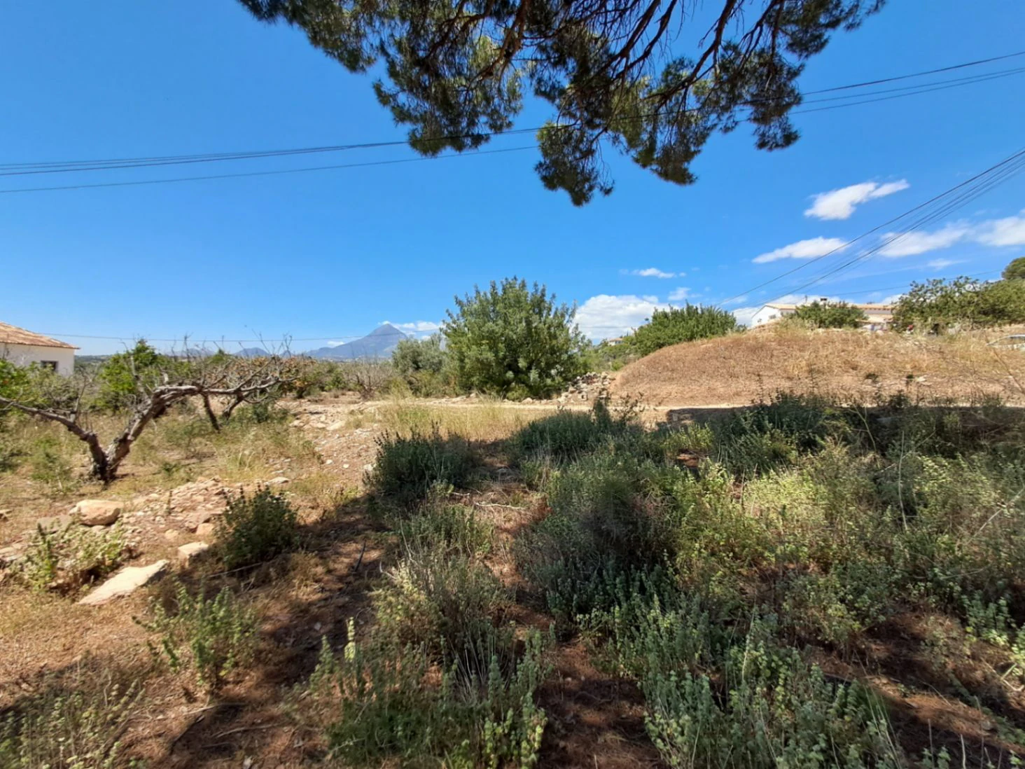 Bouwgrond te verkoop in Altea