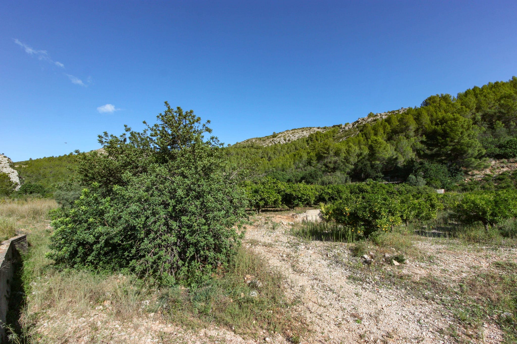 Plot en venta en Sagra