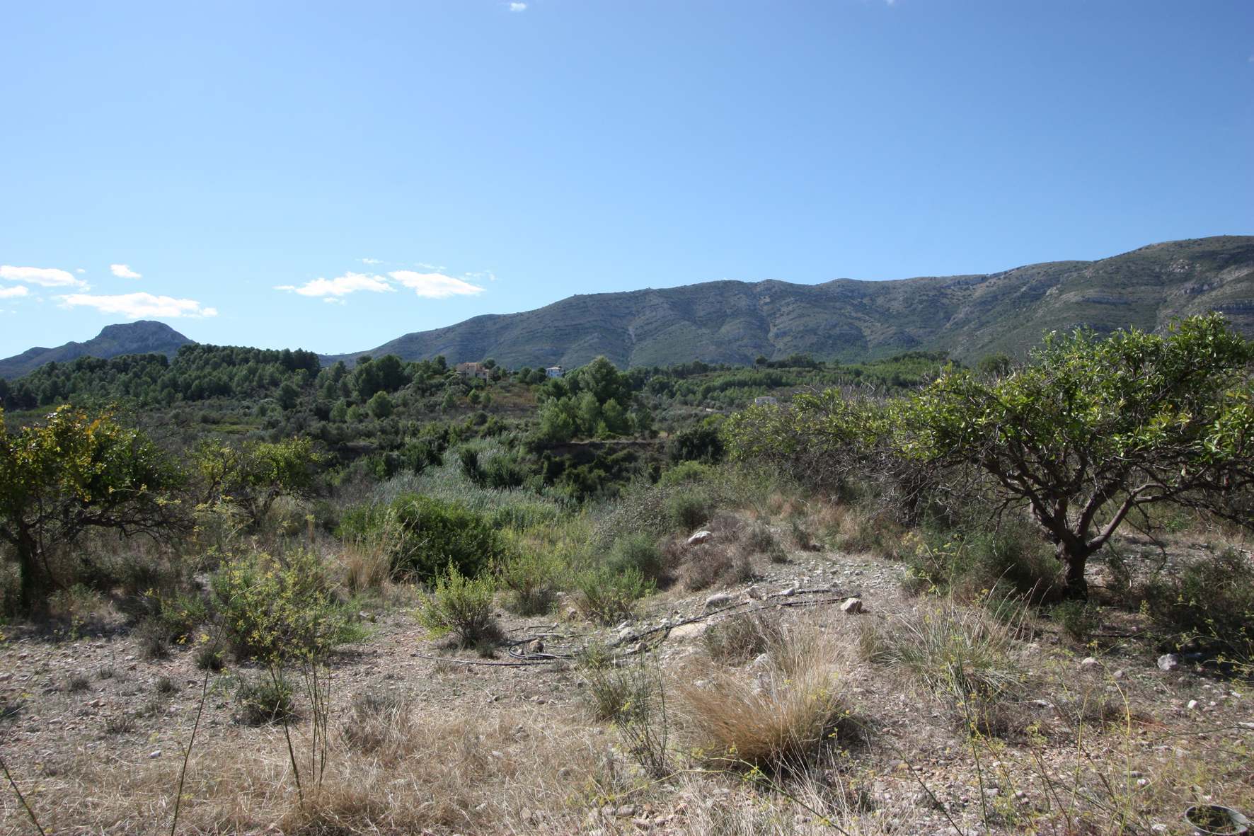 Plot en venta en Murla
