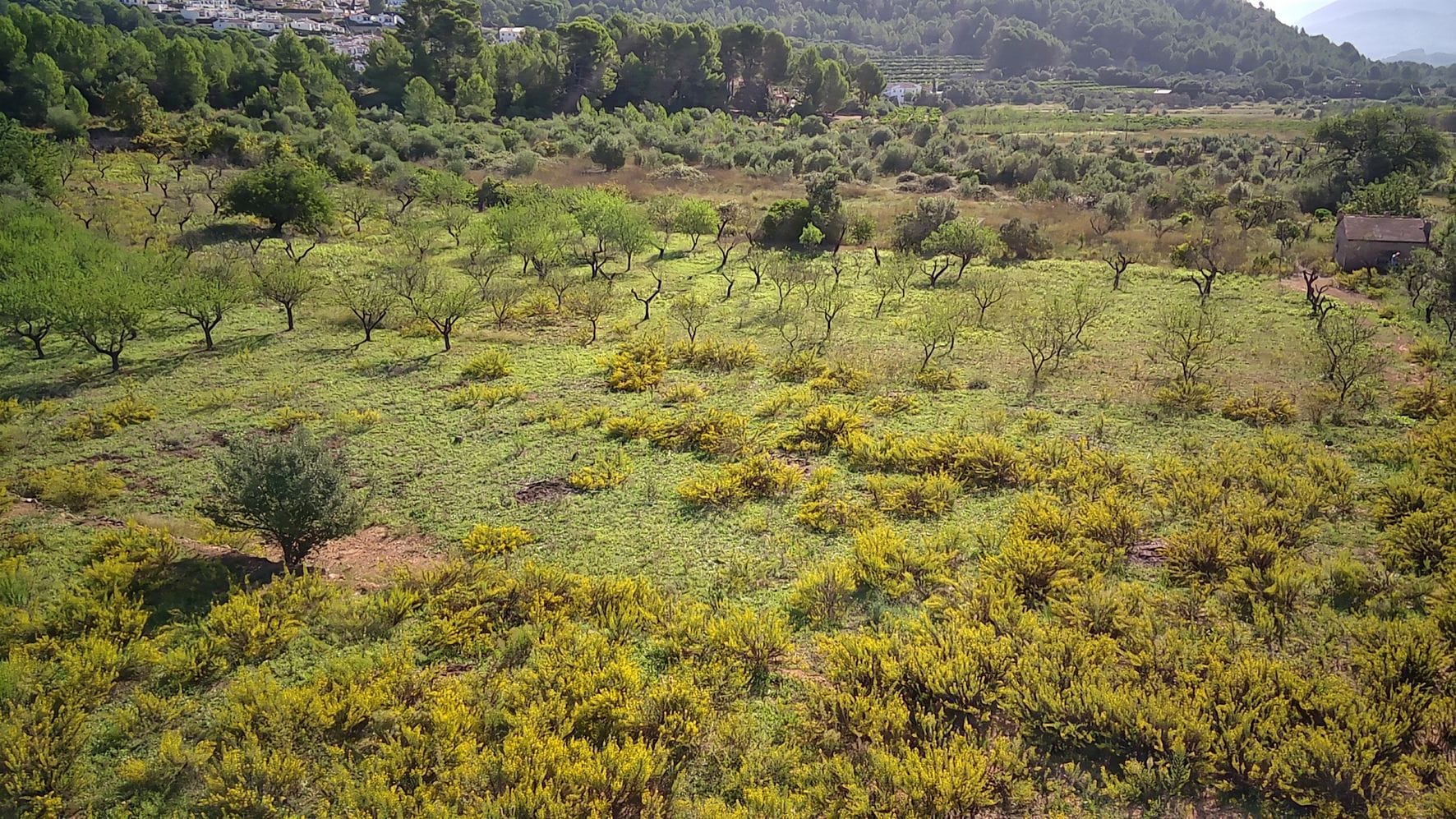 Plot en venta en Murla