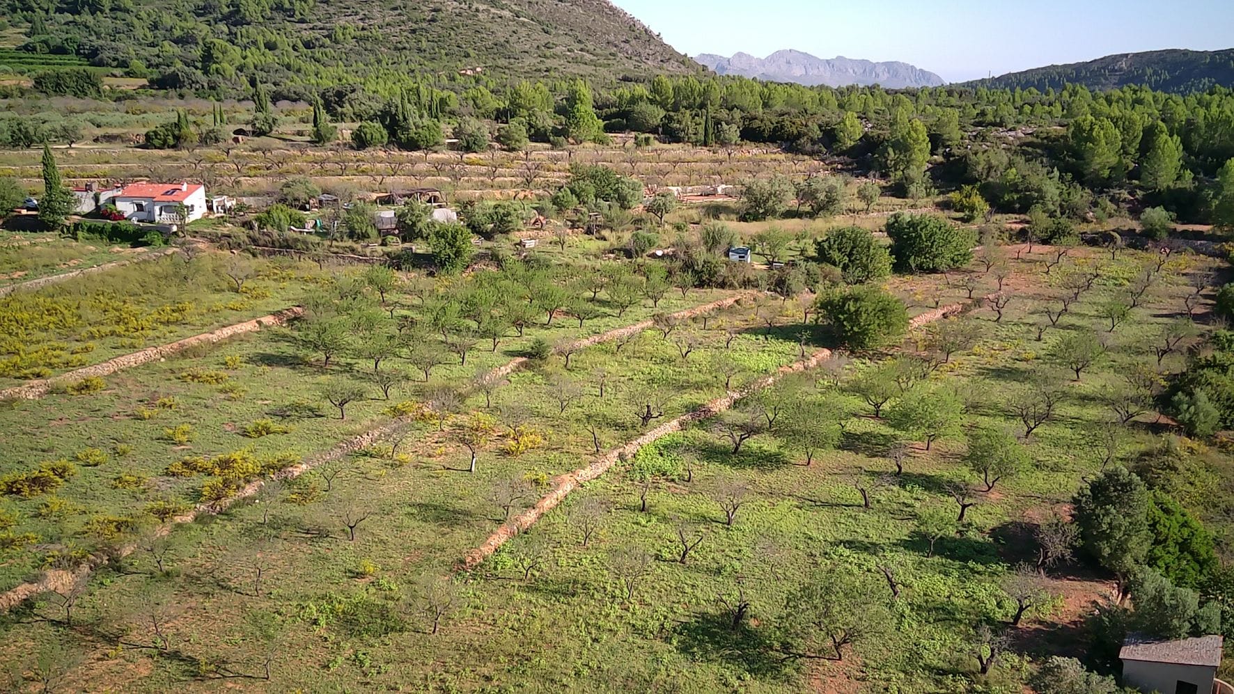 Plot en venta en Murla
