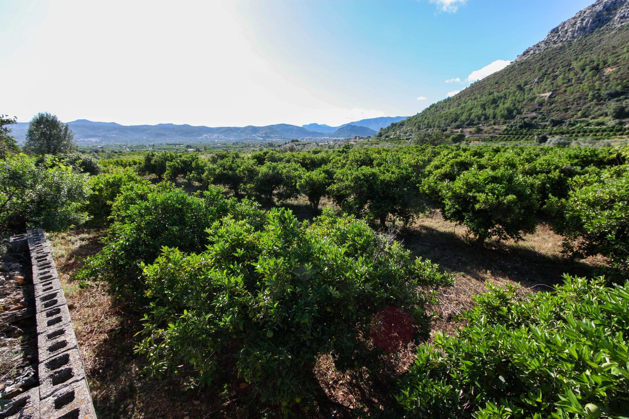 Plot en venta en Sagra