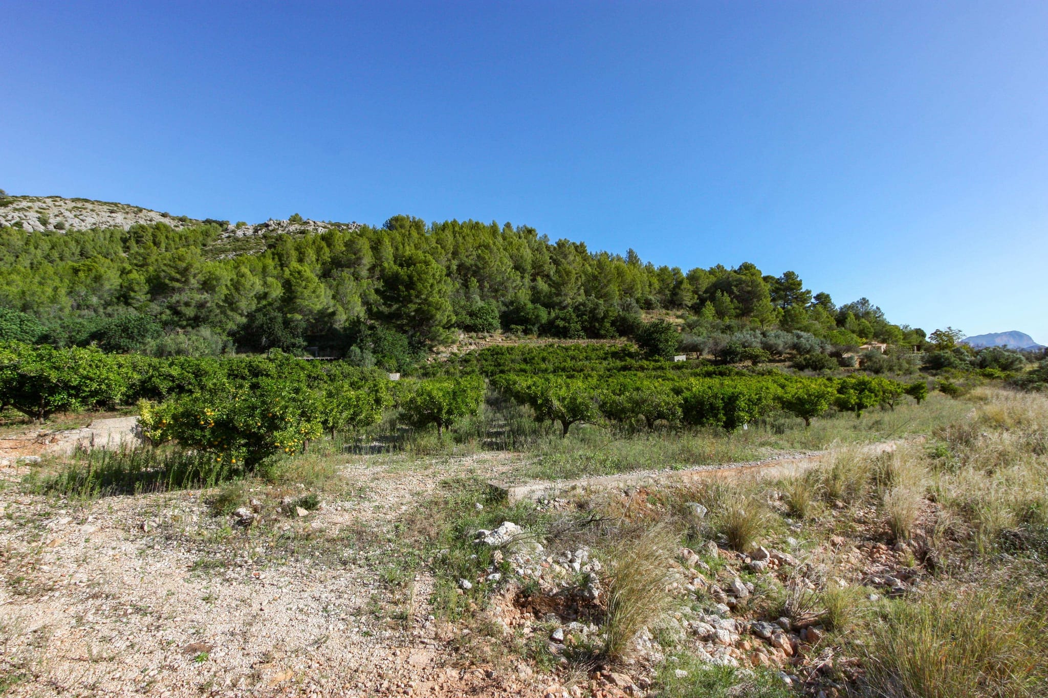 Plot en venta en Sagra