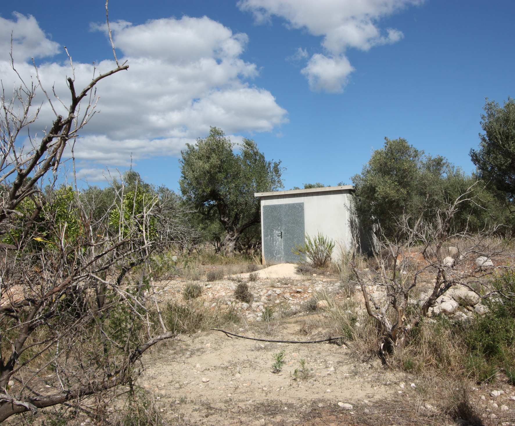 Plot en venta en Murla