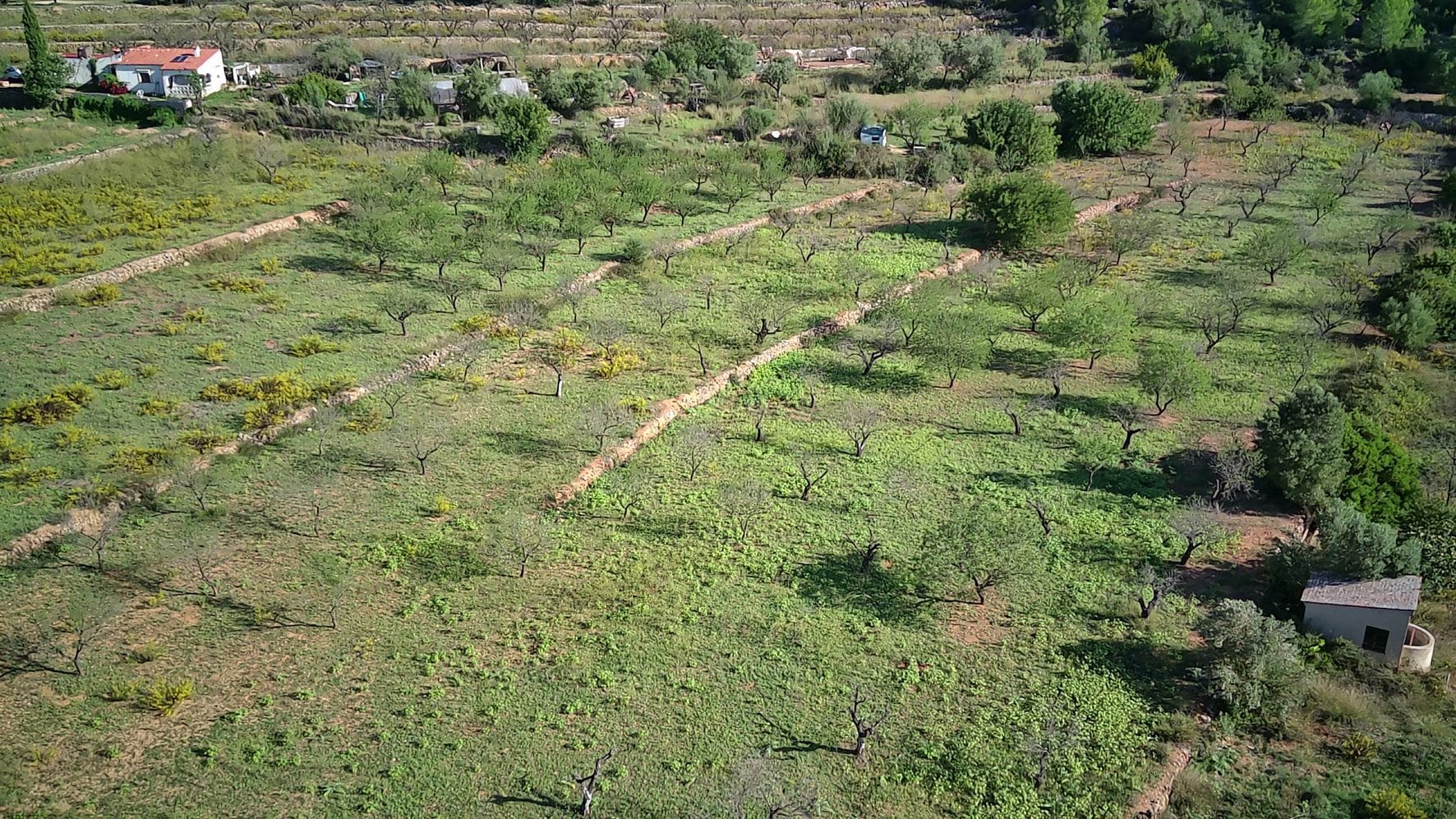Plot en venta en Murla