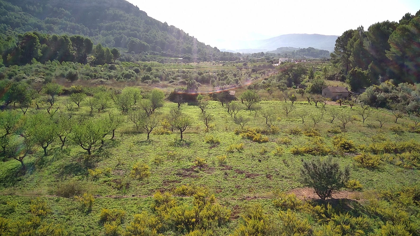 Plot en venta en Murla