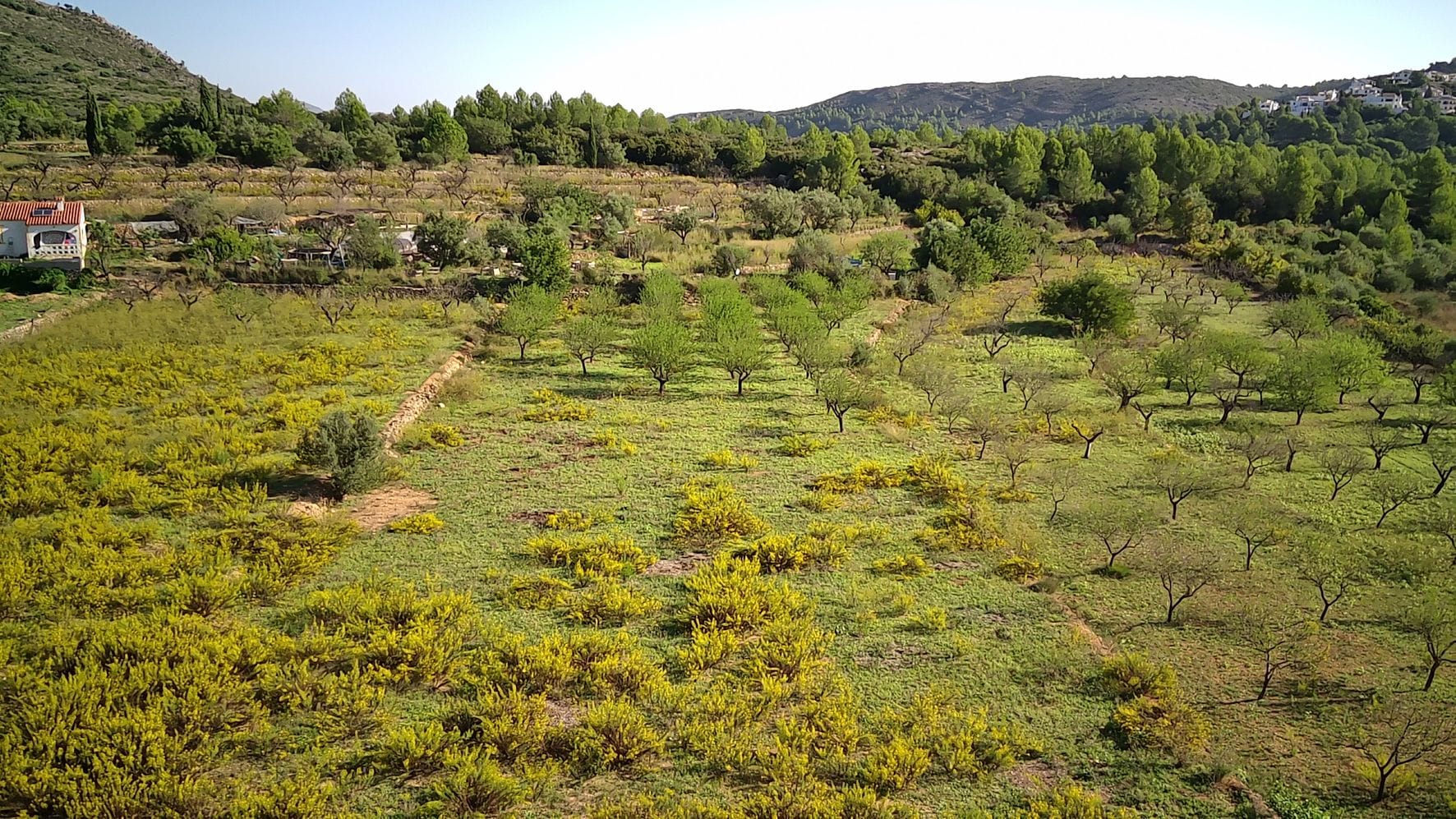 Plot en venta en Murla