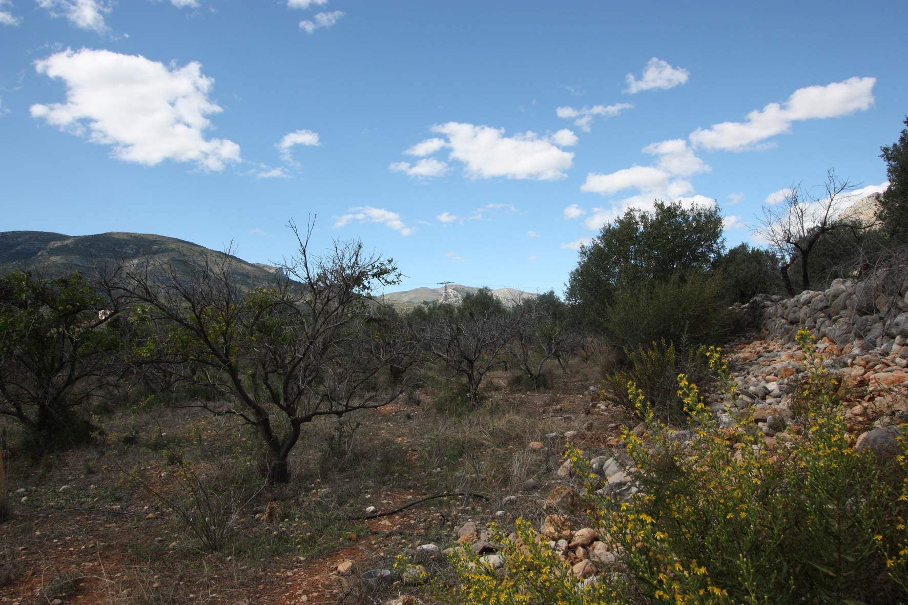 Plot en venta en Murla