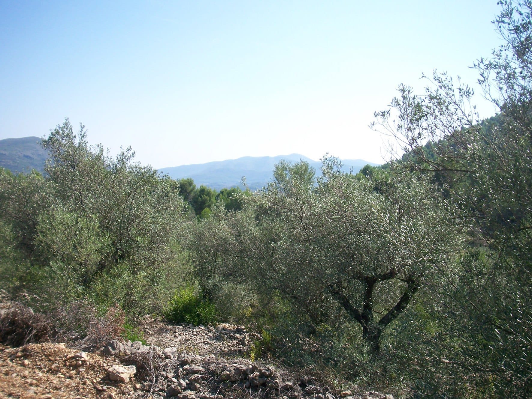 Plot en venta en Murla