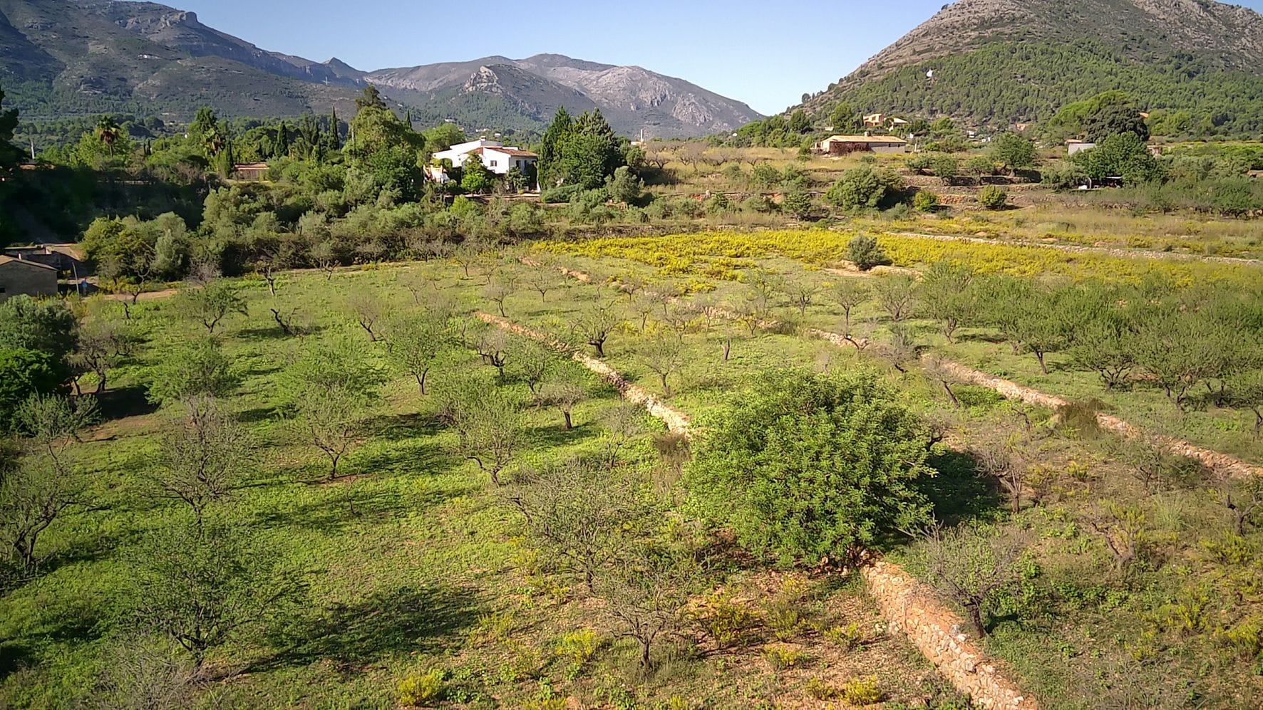 Plot en venta en Murla