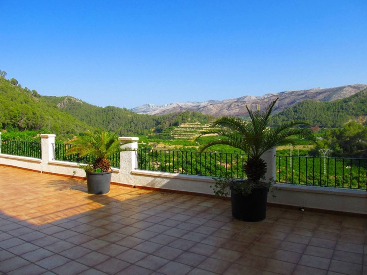 Finca con plantacion de aguacates en Forna