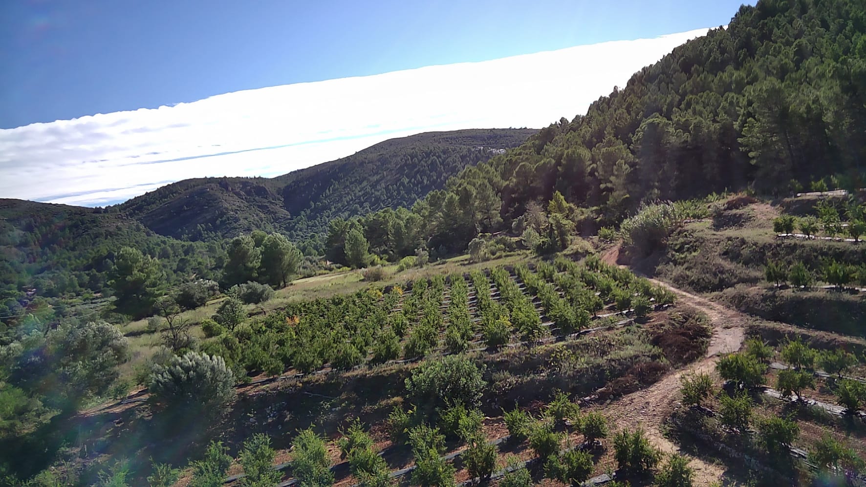 Plot en venta en Orba