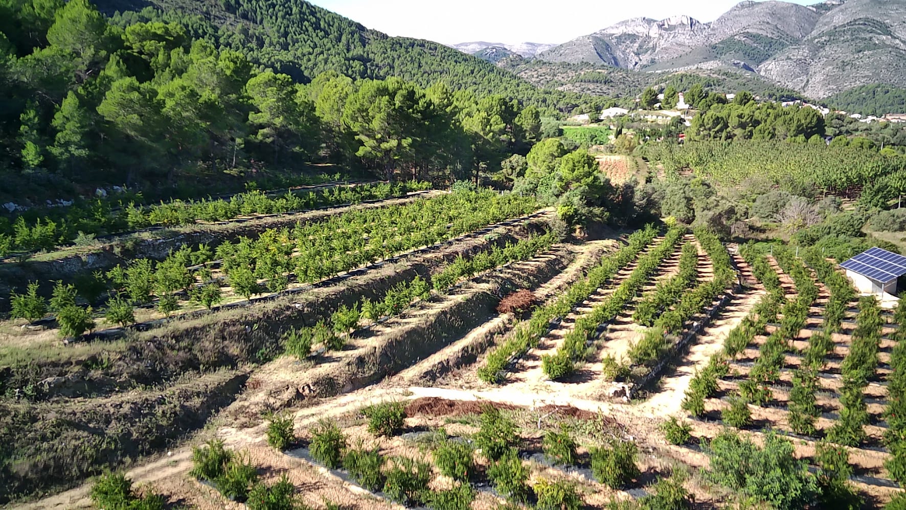 Plot en venta en Orba