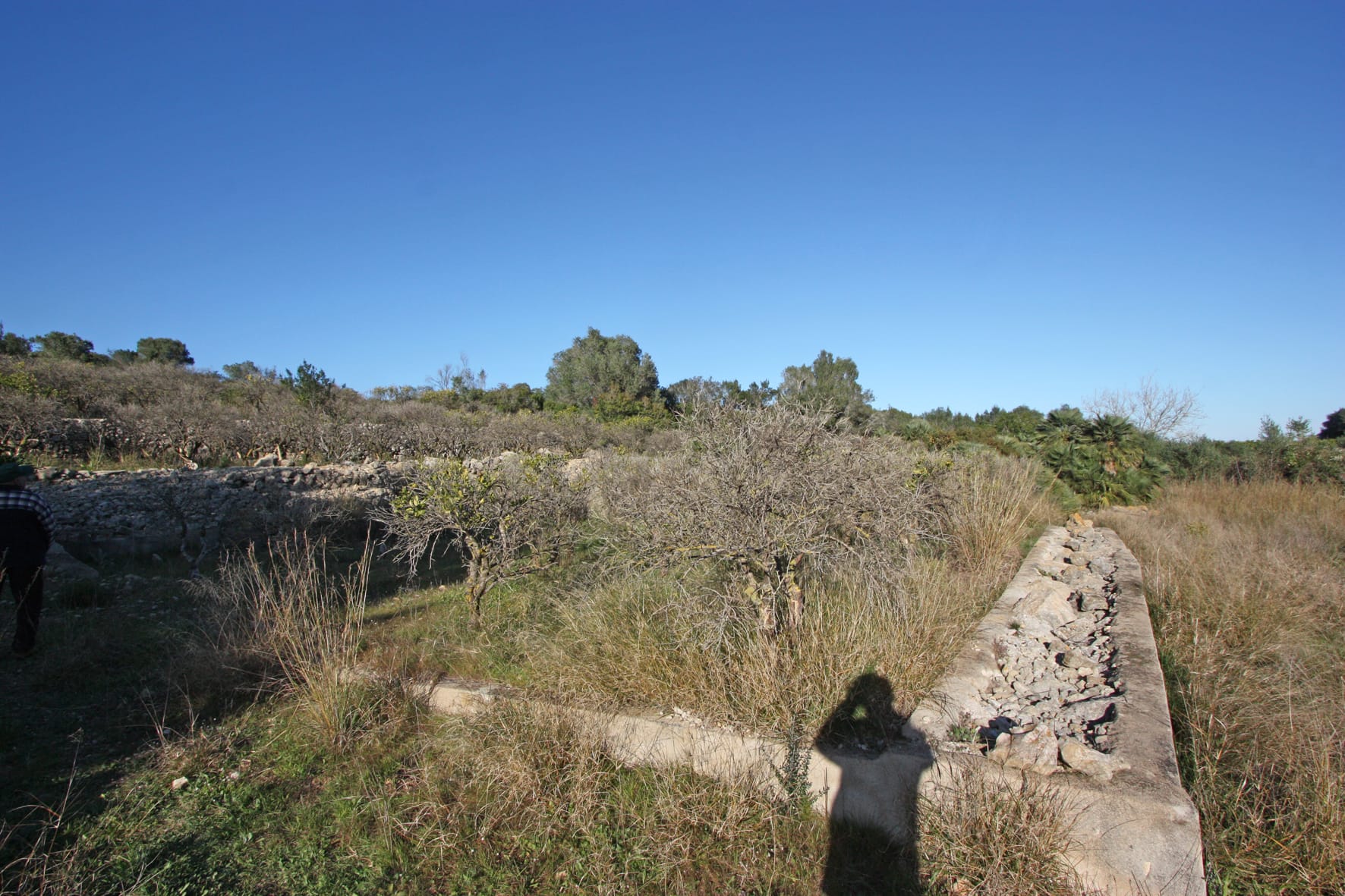 Plot en venta en Benimeli