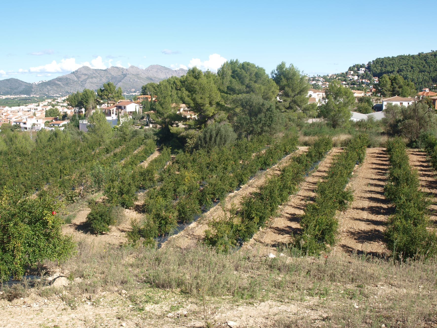 Plot en venta en Orba
