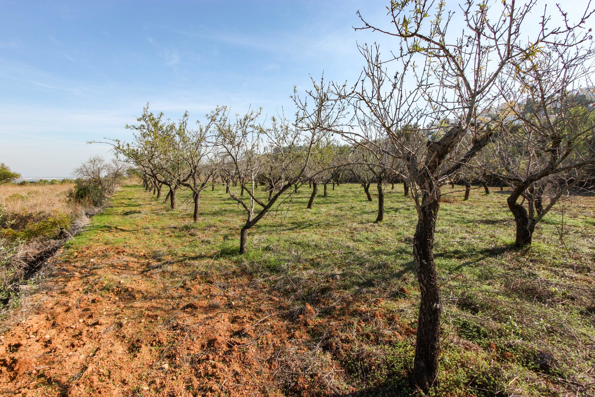 Plot en venta en Orba