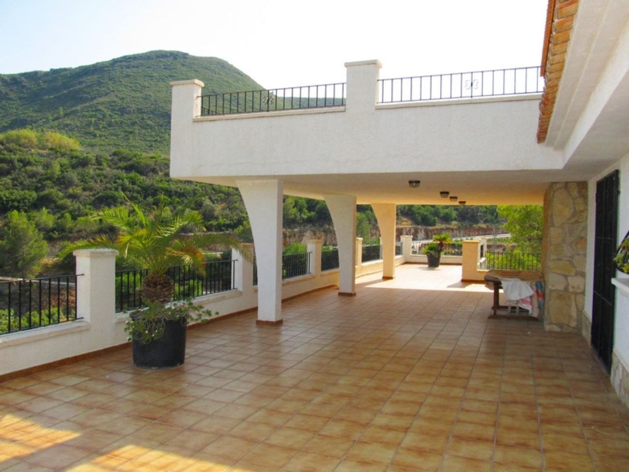 Finca con plantacion de aguacates en Forna
