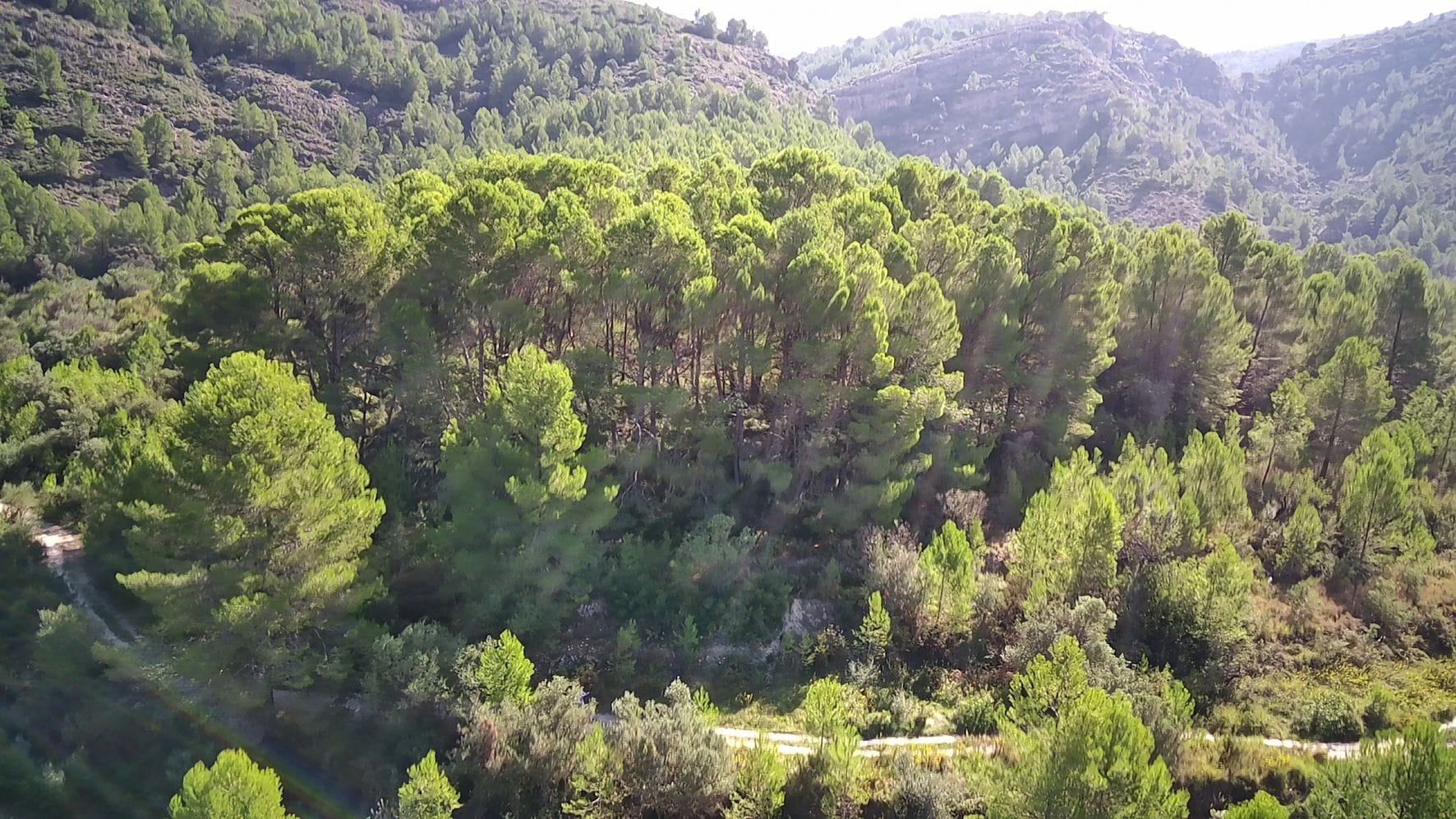 Plot en venta en Orba