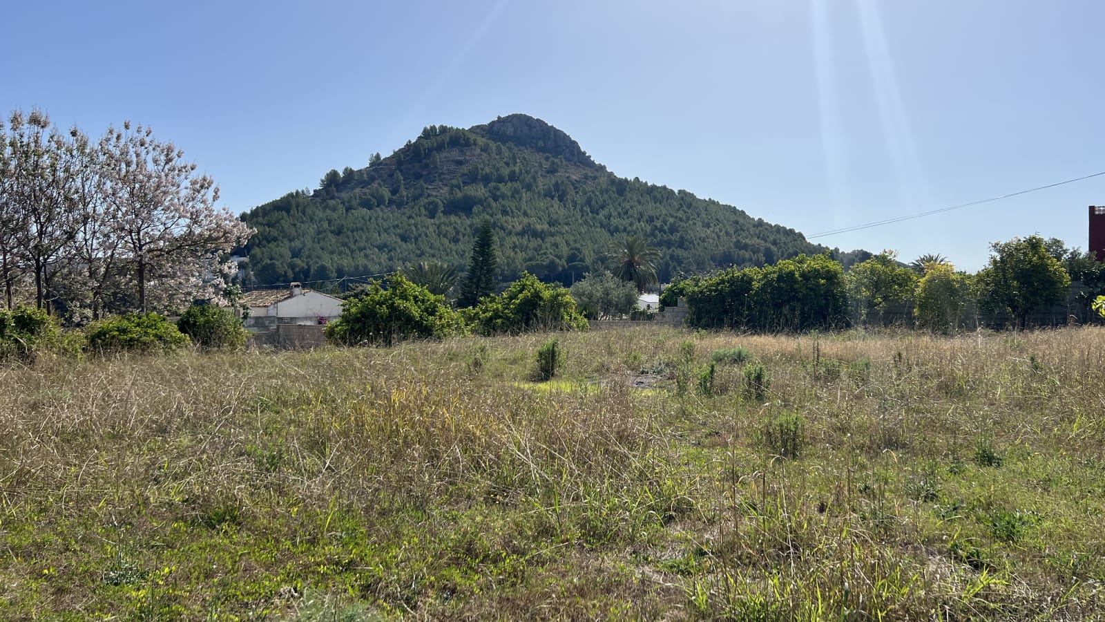 Finca en Pedreguer