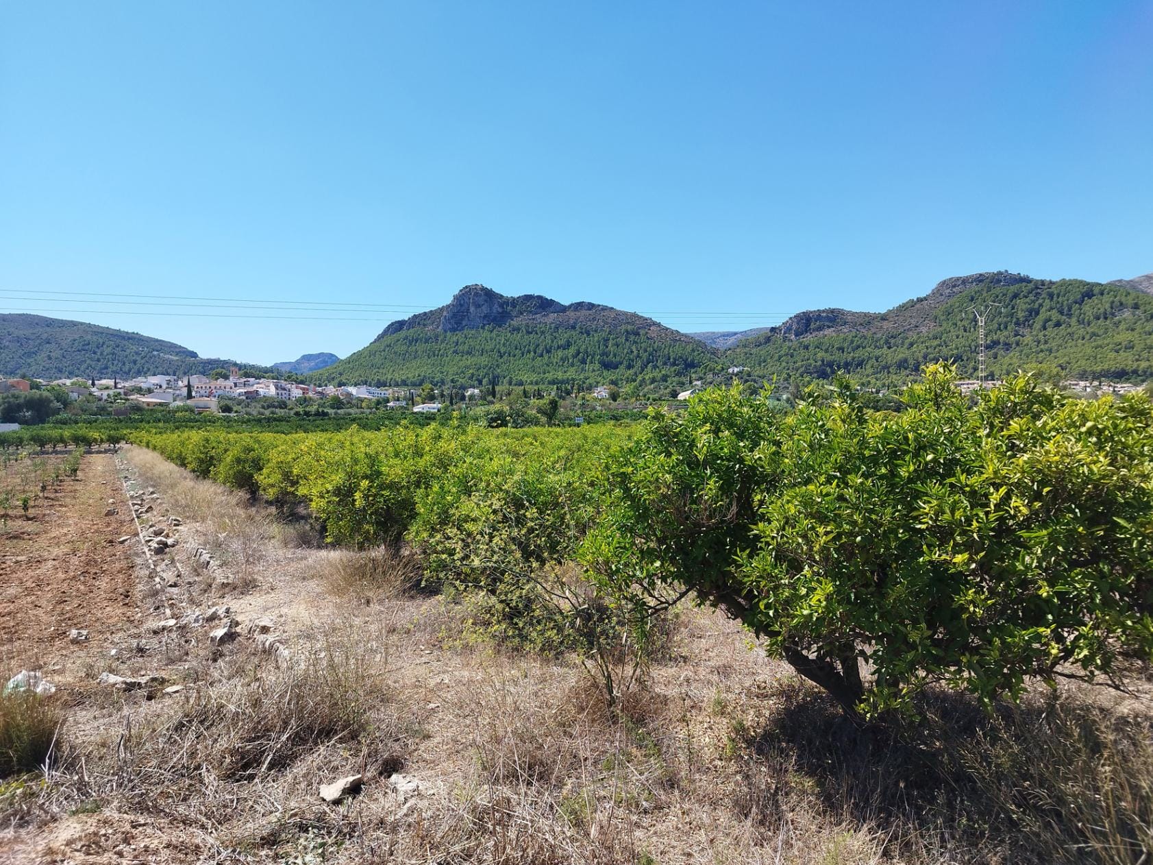 Plot en venta en Orba