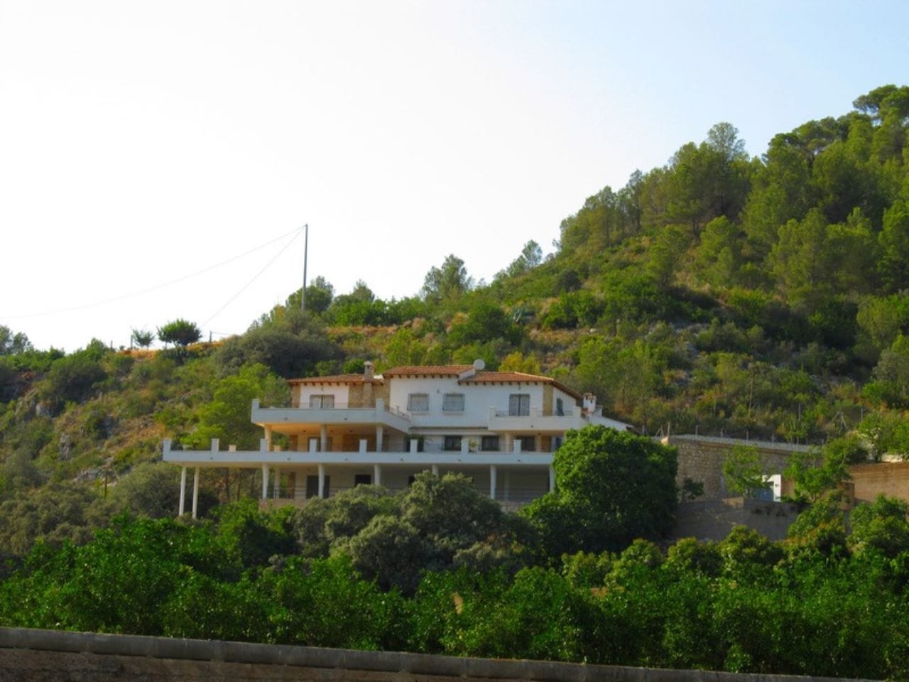 Finca con plantacion de aguacates en Forna