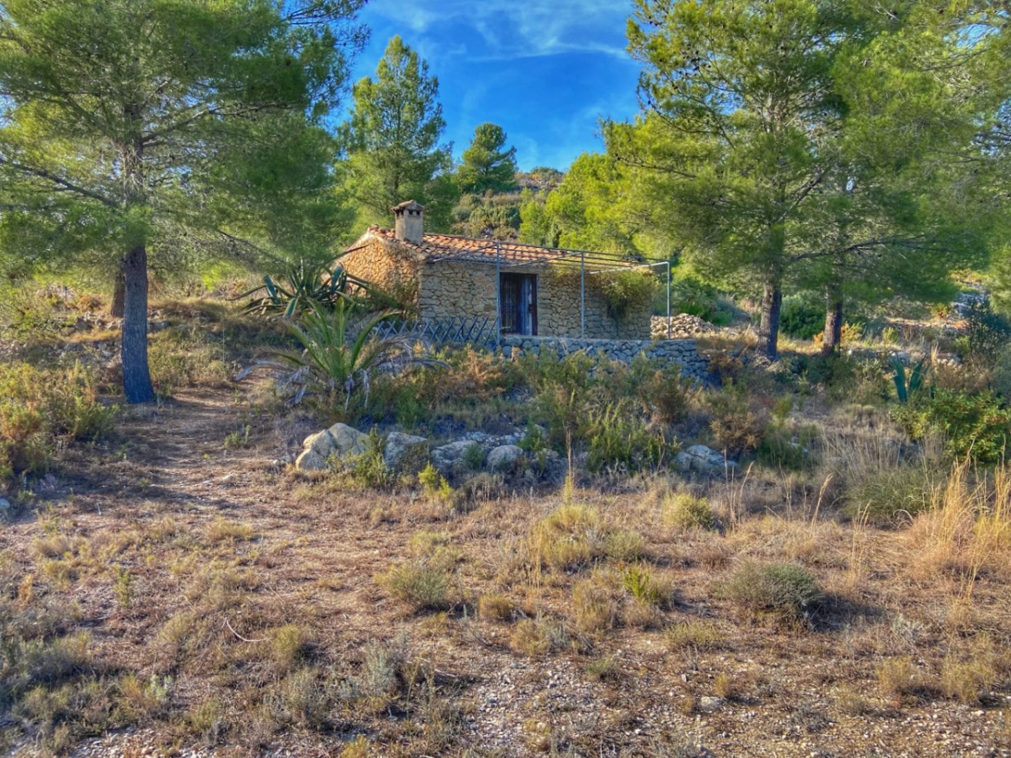 Plot en venta en Jalón