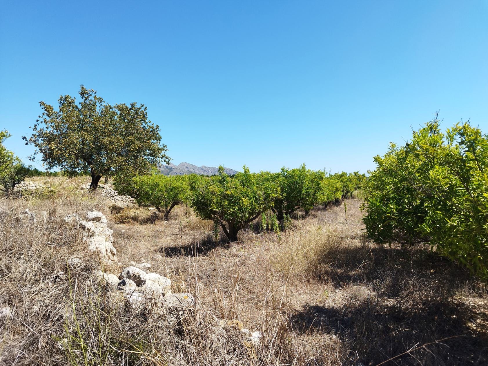 Plot en venta en Orba
