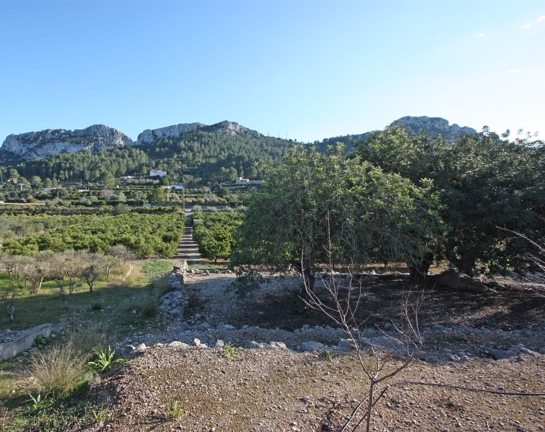 Plot en venta en Benimeli