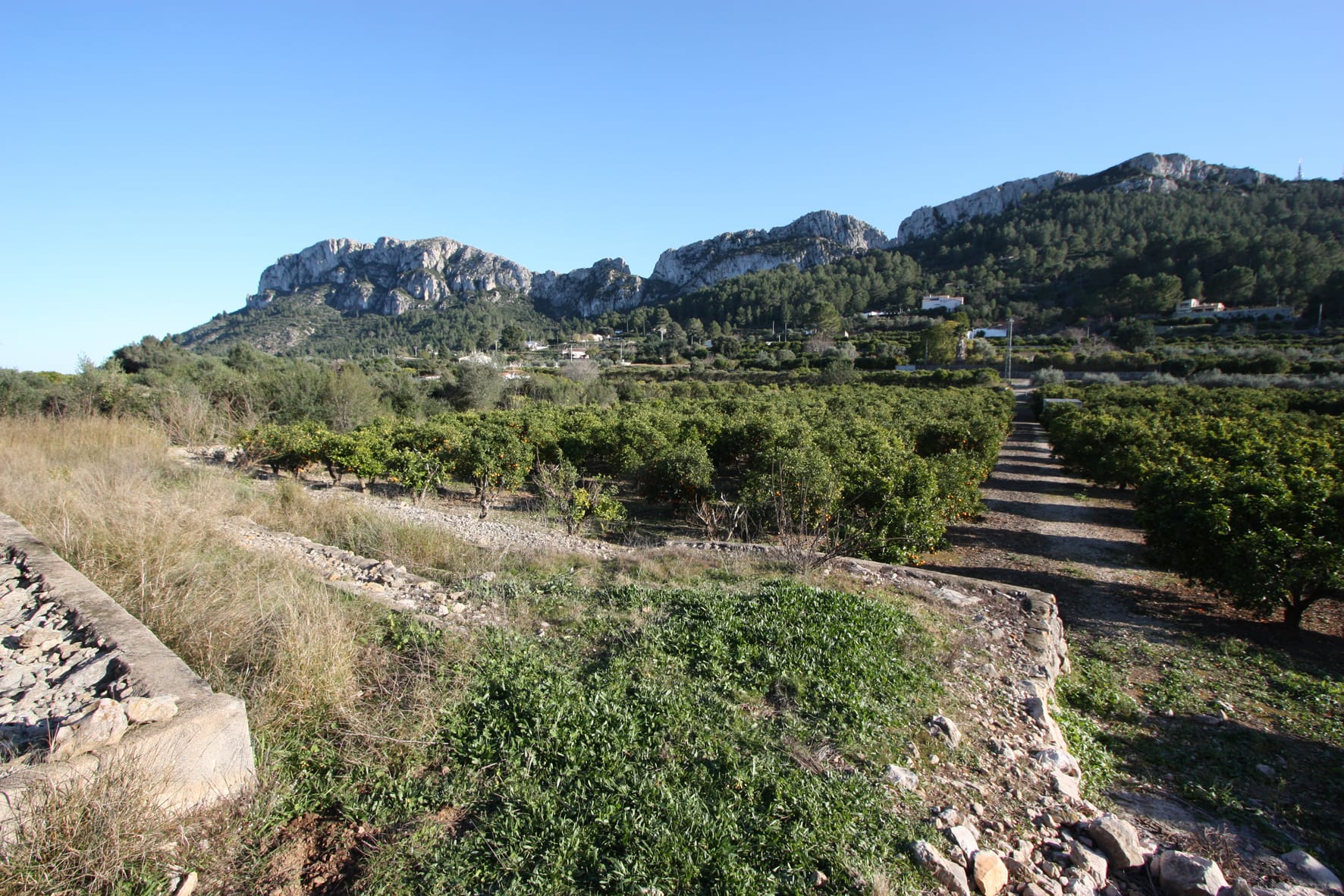 Plot en venta en Benimeli