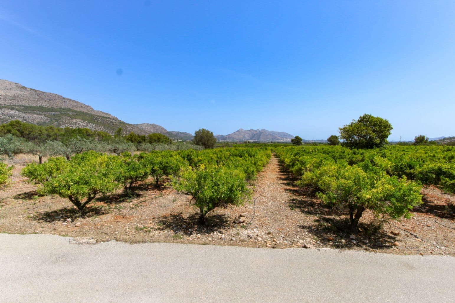 Plot en venta en Orba
