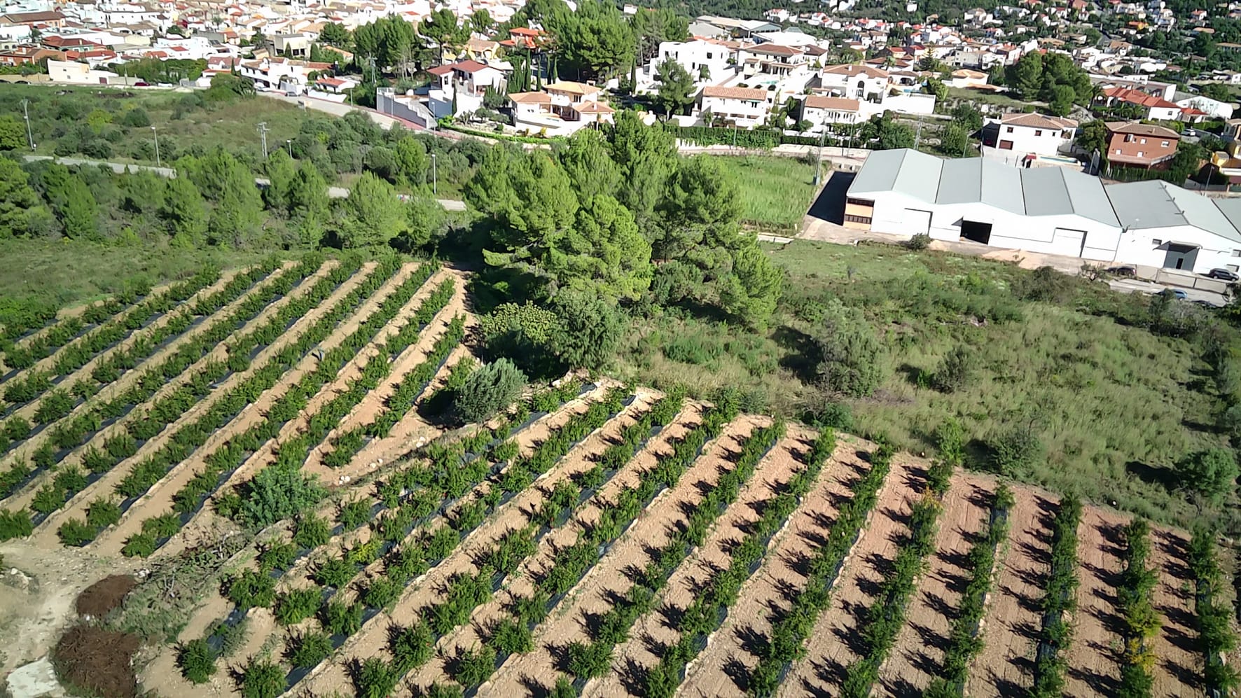 Plot en venta en Orba