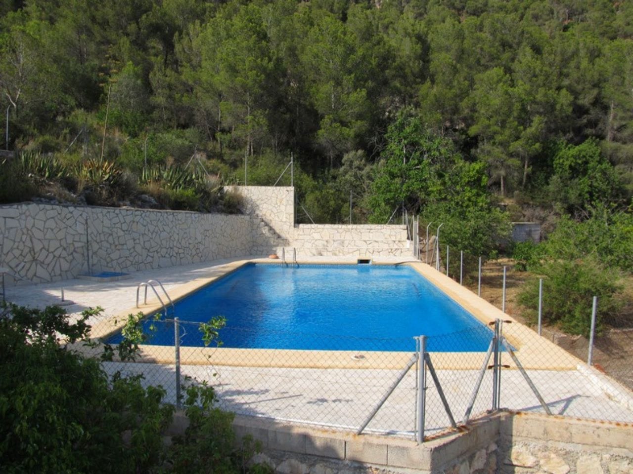 Finca con plantacion de aguacates en Forna