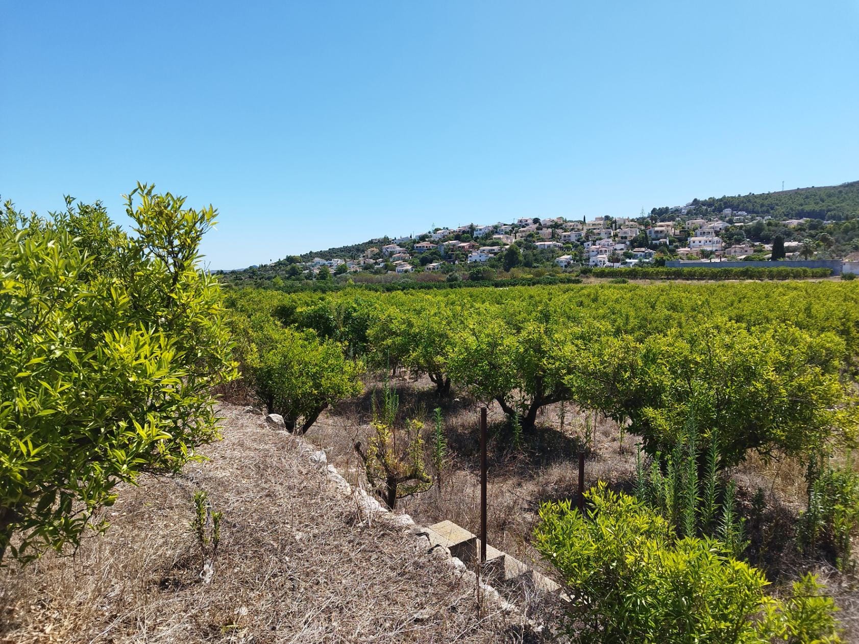 Plot en venta en Orba