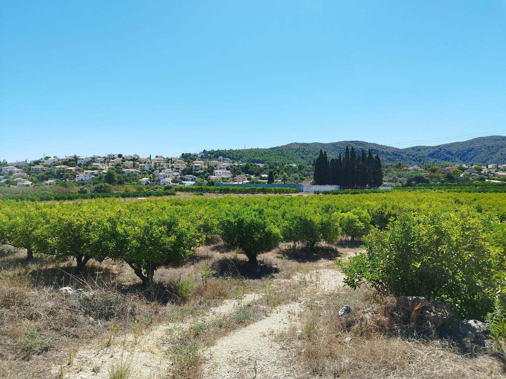 Plot en venta en Orba