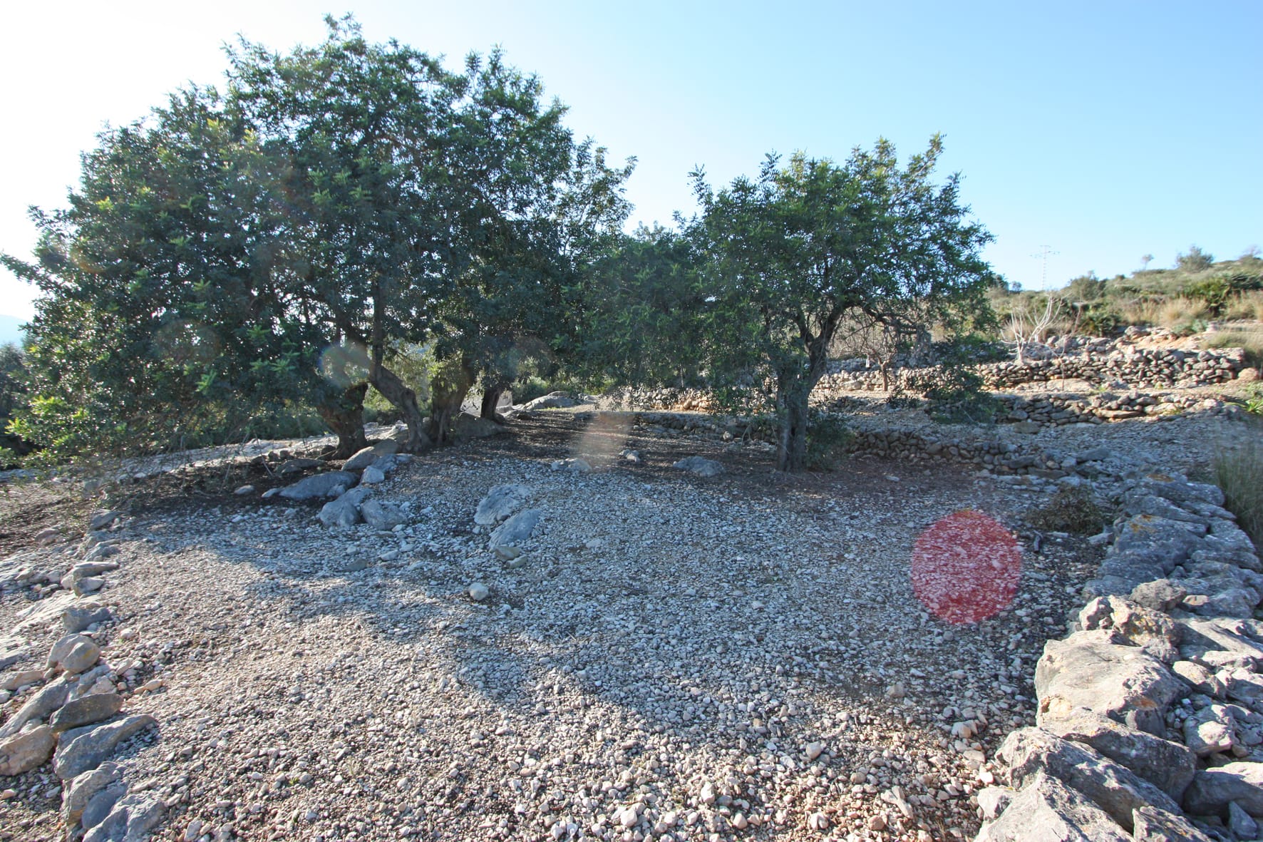 Plot en venta en Benimeli