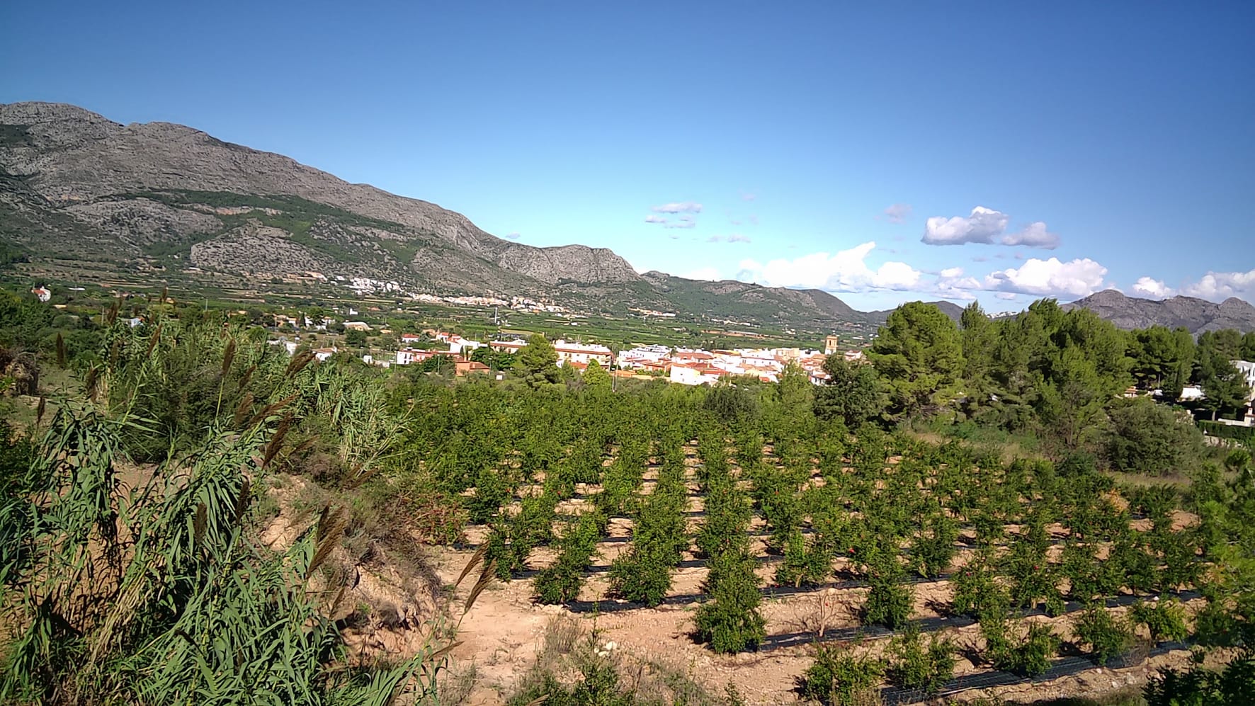 Plot en venta en Orba