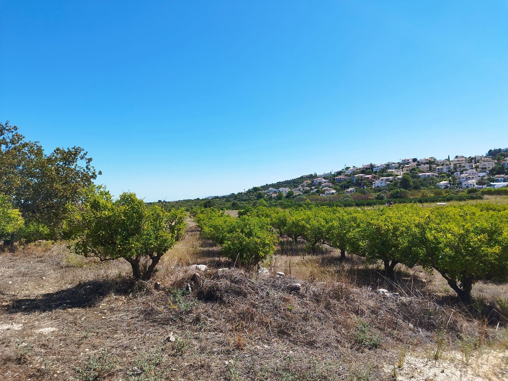 Plot en venta en Orba
