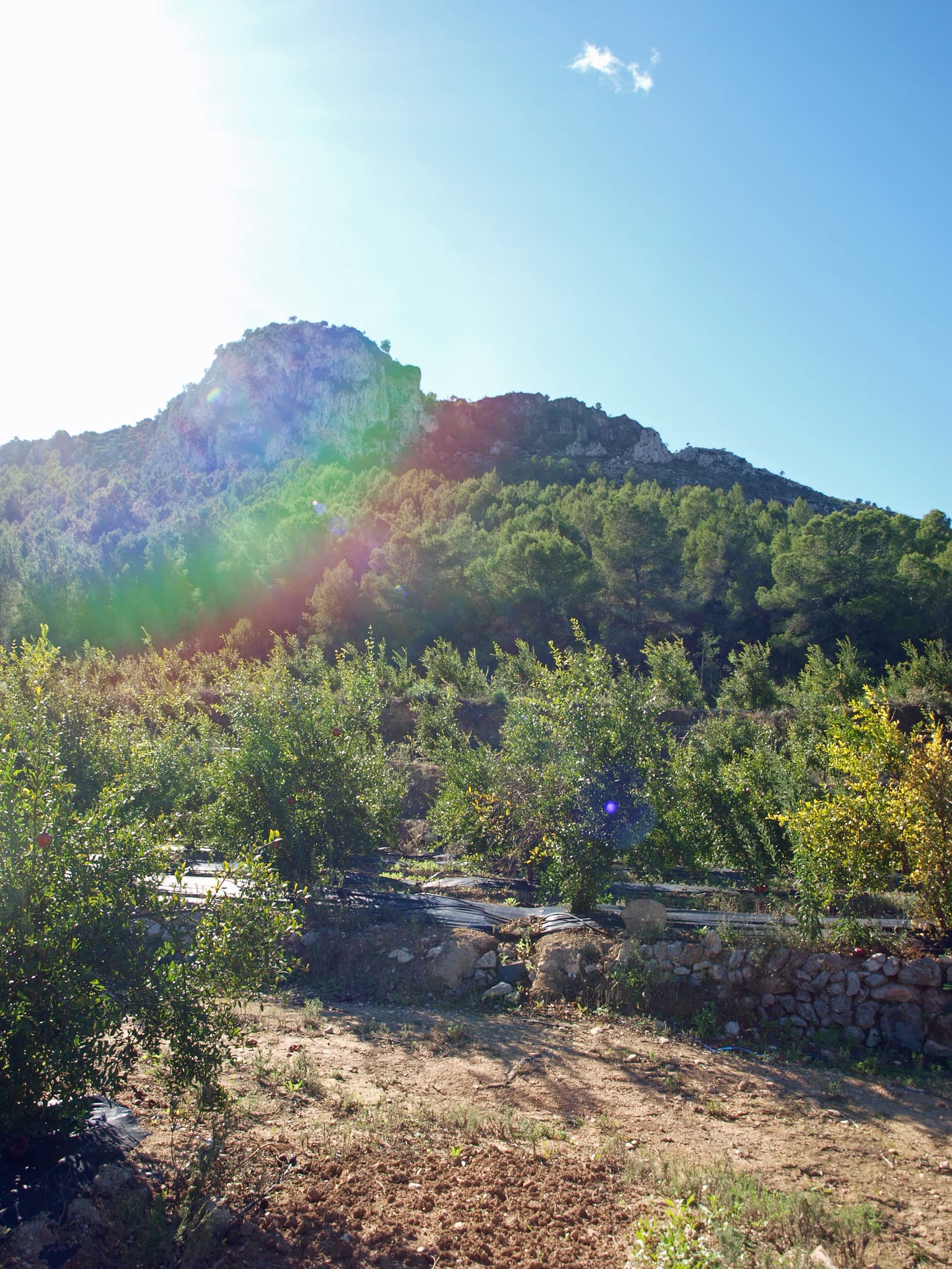 Plot en venta en Orba
