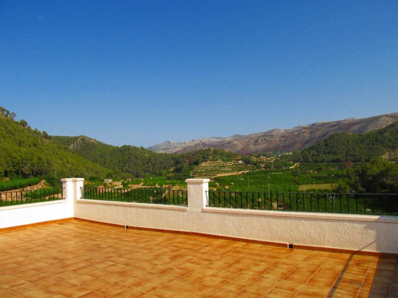 Finca con plantacion de aguacates en Forna